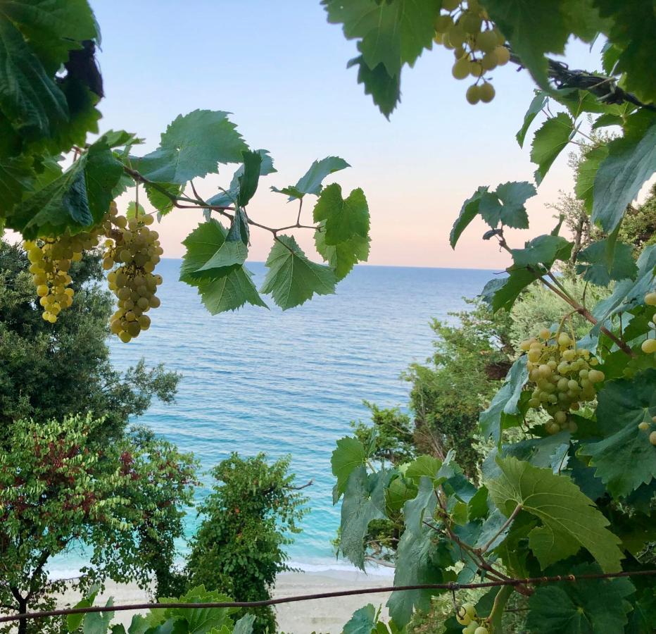 Karidia Apartments Κισσός Εξωτερικό φωτογραφία
